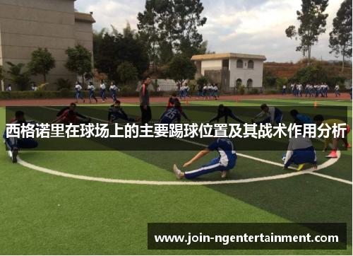 西格诺里在球场上的主要踢球位置及其战术作用分析