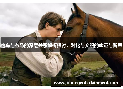 魔鸟与老马的深层关系解析探讨：对比与交织的命运与智慧